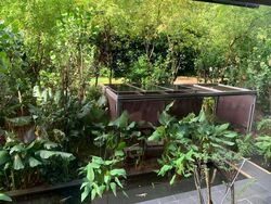 Commonwealth Towers (D3), Condominium #485612951